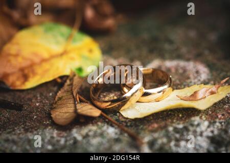 wedding ring set in a scene of nature with autumn leaves of yellow and orange color Stock Photo