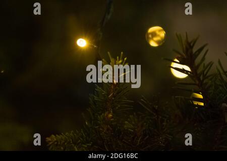 Glowing lanterns on the Christmas tree, dark, New Year's background, there is a place for text, soft focus with adding noise, after processing. High quality photo Stock Photo