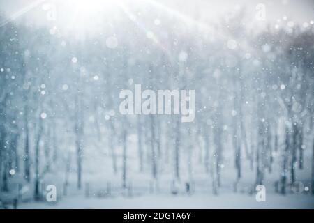 Snowflakes falling on background blurred winter landscape. Defocus blue lights. Stock Photo