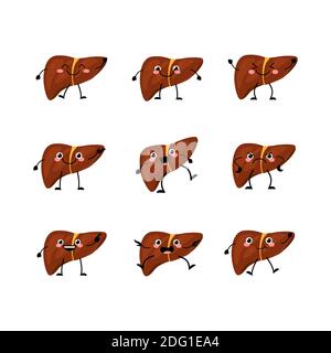 Cute liver organs character set in a flat cartoon style. Stock Vector