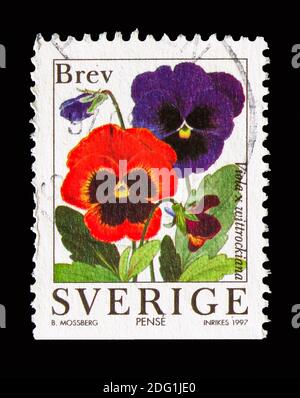 MOSCOW, RUSSIA - AUGUST 18, 2018: A stamp printed in Sweden shows Pansy (Viola wittrockiana), Garden Flowers serie, circa 1997 Stock Photo