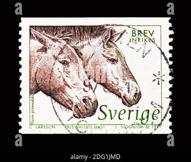 MOSCOW, RUSSIA - AUGUST 18, 2018: A stamp printed in Sweden shows Przewalski's Horse (Equus ferus przewalskii), Wildlife serie, circa 1997 Stock Photo