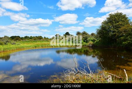 Pond at Gibraltar Point National Nature Reserve, managed by Lincolnshire Wildlife Trust. Near Skegness, Lincolnshire, UK Stock Photo