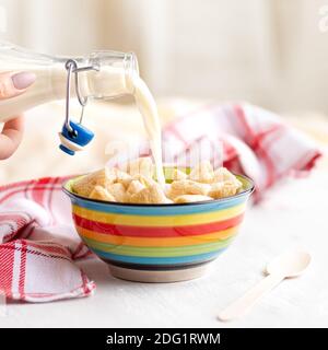 Crispy corn pads in a clay bowl with a bottle of fresh milk on a light background. Healthy breakfast cereals. Amaranth pads Copy space, 1:1 Stock Photo