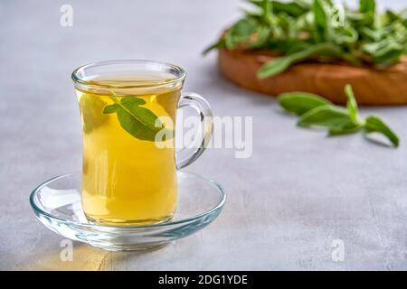 Cup of  hot sage tea with fresh leaves  , health concept, close up Stock Photo