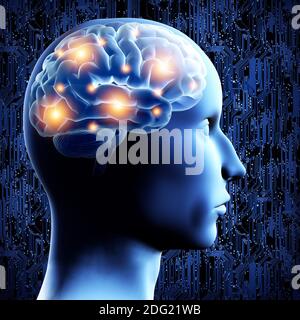 Brain - 3D illustration. Stock Photo