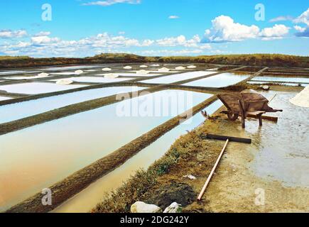 Salt production in the salt marshes of Guérande, Brittany, France