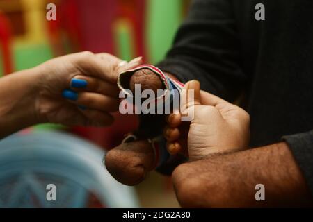 Kajol Dey, a 49 year old disabled table tennis player and coach is seen getting ready to coacha young girl at his coaching camp on International Day of Persons with Disabilities (IDPD). Agartala, Tripura, India. Stock Photo