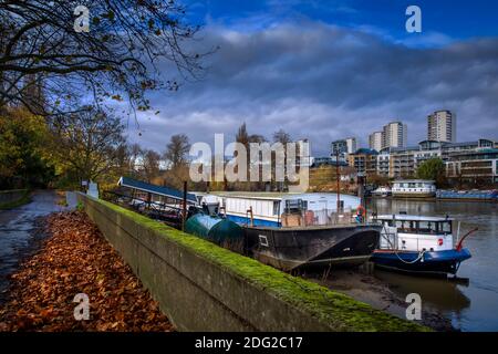 London, houseboats on river Thames, Section One of the Thames Path on south bank, Kew, residential buildings in Chiswick, Autumn leaves, seasonal view Stock Photo