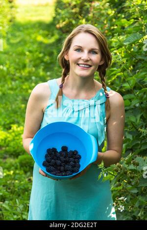 Young woman in blue dress picking blackberries Stock Photo