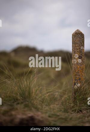 Marker on the dunes at Crow Point, Braunton Burrows in November 2020 Stock Photo
