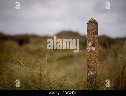 Marker on the dunes at Crow Point, Braunton Burrows in November 2020 Stock Photo