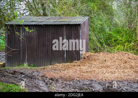 Tin shack as log storage in English countryside Stock Photo