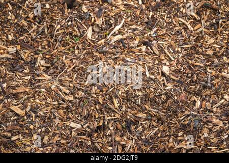 Image filled with wood chips and twigs Stock Photo