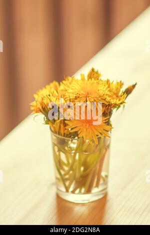 Bouquet of dandelions (taraxacum officinale) flowers in a glass. Stock Photo
