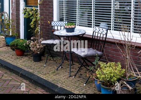 Garden furniture on porch of house with outdoor plants. Home outdoor plants. Landscaping Gardening in city. Geocyint in a pot on coffee table. Place Stock Photo