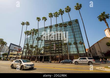 View of palm trees and contemporary architecture on Hollywood Boulevard, Los Angeles, California, United States of America, North America Stock Photo