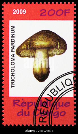 MOSCOW, RUSSIA - OCTOBER 21, 2018: A stamp printed in Congo shows Tricholoma pardinum, Animals and Mushrooms serie, circa 2009 Stock Photo