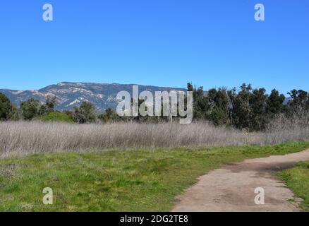 Dirt hiking trek along fields in Ellwood Beach Park. Stock Photo