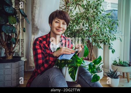 Smiling Caucasian woman in casual clothes taking care of home plants and wipes leaves sitting on the floor. Home gardenning and slow living practice Stock Photo