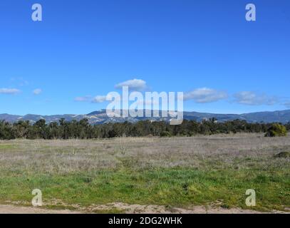 Stunning California foothills and fields in Goleta. Stock Photo