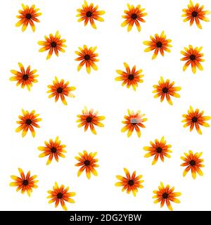 Colorful yellow echinacea on white background. Seamless pattern. illustration. Stock Photo