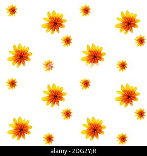 Colorful yellow echinacea on white background. Seamless pattern. illustration. Stock Photo