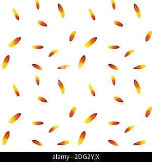 Colorful yellow echinacea on white background. Seamless pattern. illustration. Stock Photo