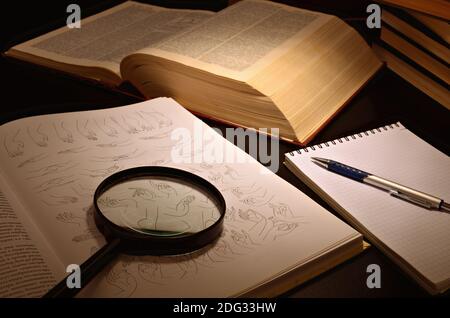 Open book and magnifier located on a dark table and a dark background Stock Photo