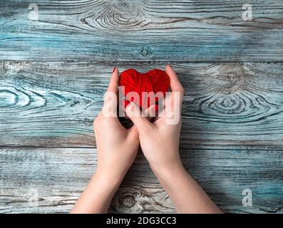 A woman holds a red heart on a wooden background. Stock Photo