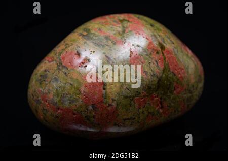 Highly polished puffy Unakite specimen from Unakas Mountains in North Carolina, on black background. Stock Photo