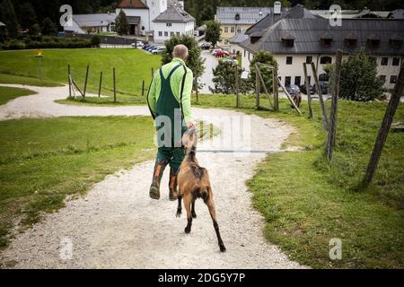 Captured Stock Photo