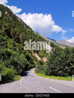 Summer view on a winding road amidst forest beside high mountain slope covered with green pine trees