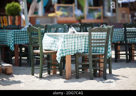 Empty Tables and Chairs on Sunny Restaurant Patio Stock Photo