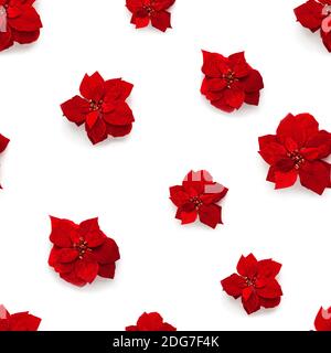 Seamless pattern of artificial red velvet Christmas flowers Poinsettia with beautiful sequins in the center isolated on white background from above. F Stock Photo