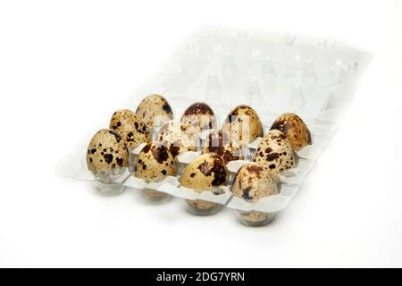 Fresh quail eggs in a transparent box isolated on white background Stock Photo