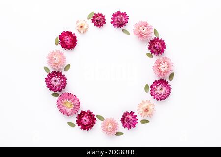 Flower composition. Eucalyptus leaves and dry flowers on white background. Flat lay. Top view. Copy space - Image Stock Photo