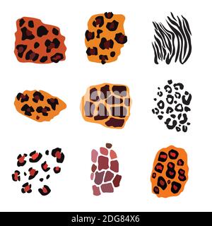 Wild animal set. Jaguar, leopard, zebra, giraffe, tiger and cheetah print. Stock Vector
