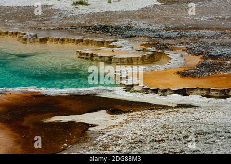 Colorful geothermal feature, Doublet Pool with scalloped geyserite deposits of opaline silica around the border, water about 190○f rare short eruption