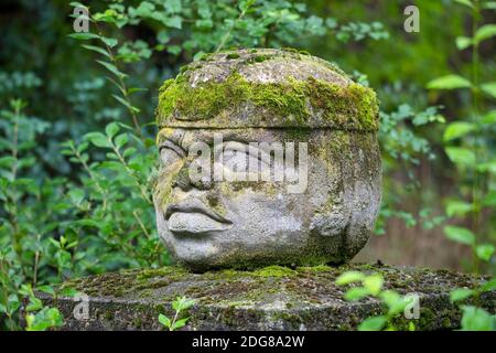 Replica of Olmec civilization Sculpture, colossal head carved from stone in forest. Big stone head statue in a jungle. Stock Photo