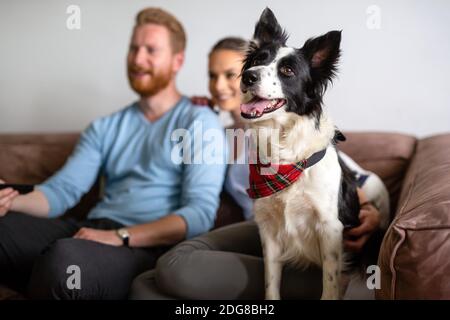 Beautiful young couple relaxing at home and loving their pet Stock Photo