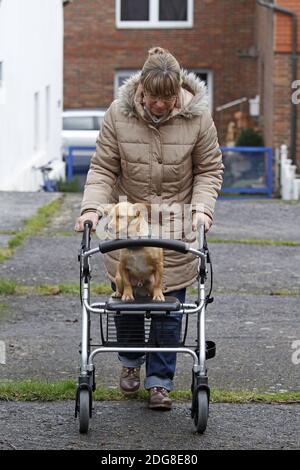 Woman with wheeled walker and dog Stock Photo