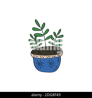House plant. Flowers in pot. Ficus icon. Hand drawn vector doodle illustration Stock Vector