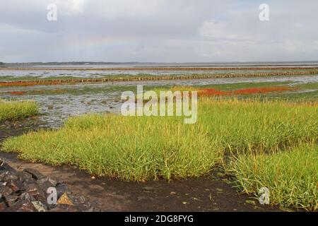 Rainbow over the mudflat, Keitum, Germany Stock Photo