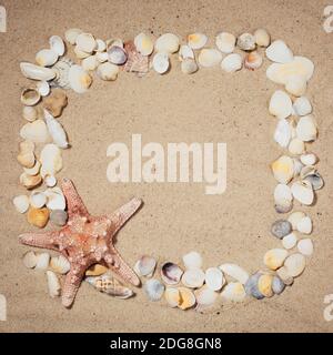 Seashells, starfish and sea pebbles frame on beach sand background. Natural seashore textured sand, top view, copy space. Stock Photo