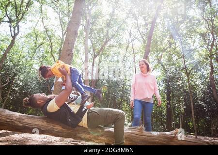 Family playing on fallen log below trees in sunny summer woods Stock Photo