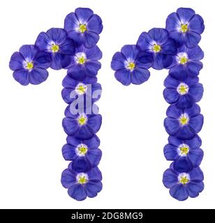 Arabic numeral 11, eleven, from blue flowers of flax, isolated on white background Stock Photo