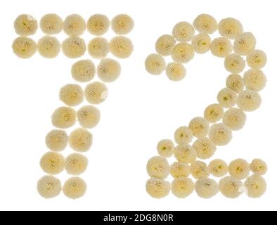 Arabic numeral 72, seventy two, from cream flowers of chrysanthemum, isolated on white background Stock Photo