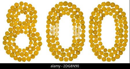 Arabic numeral 800, eight hundred, from yellow flowers of tansy, isolated on white background Stock Photo