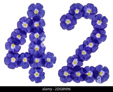 Arabic numeral 42, forty two, from blue flowers of flax, isolated on white background Stock Photo